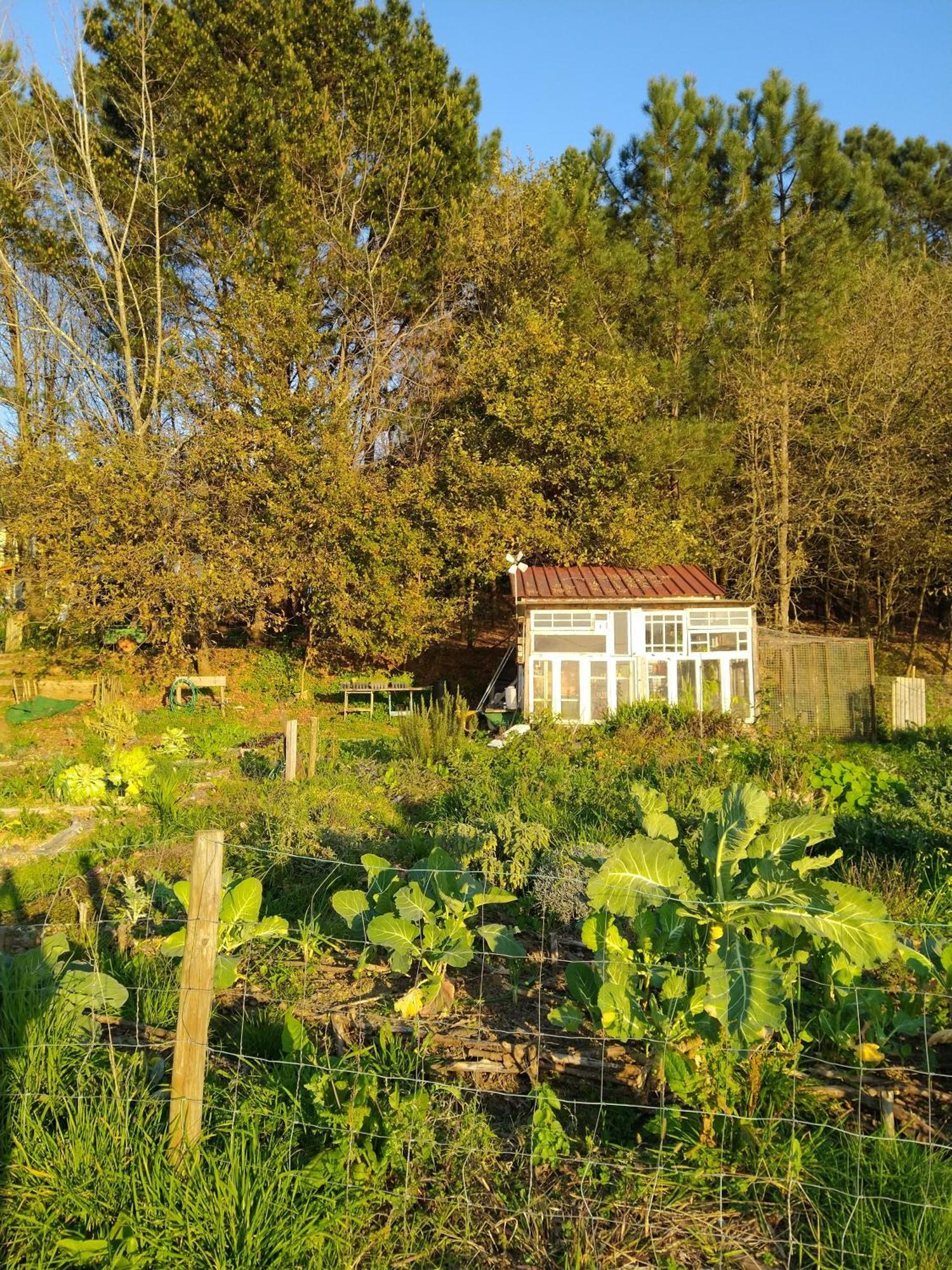 Associacao Quinta Das Relvas Branca Buitenkant foto