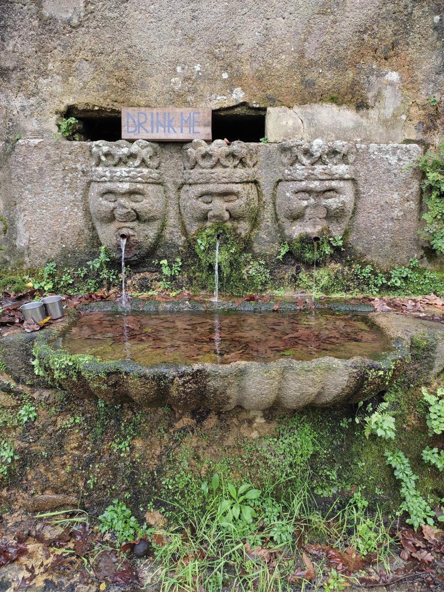 Associacao Quinta Das Relvas Branca Buitenkant foto