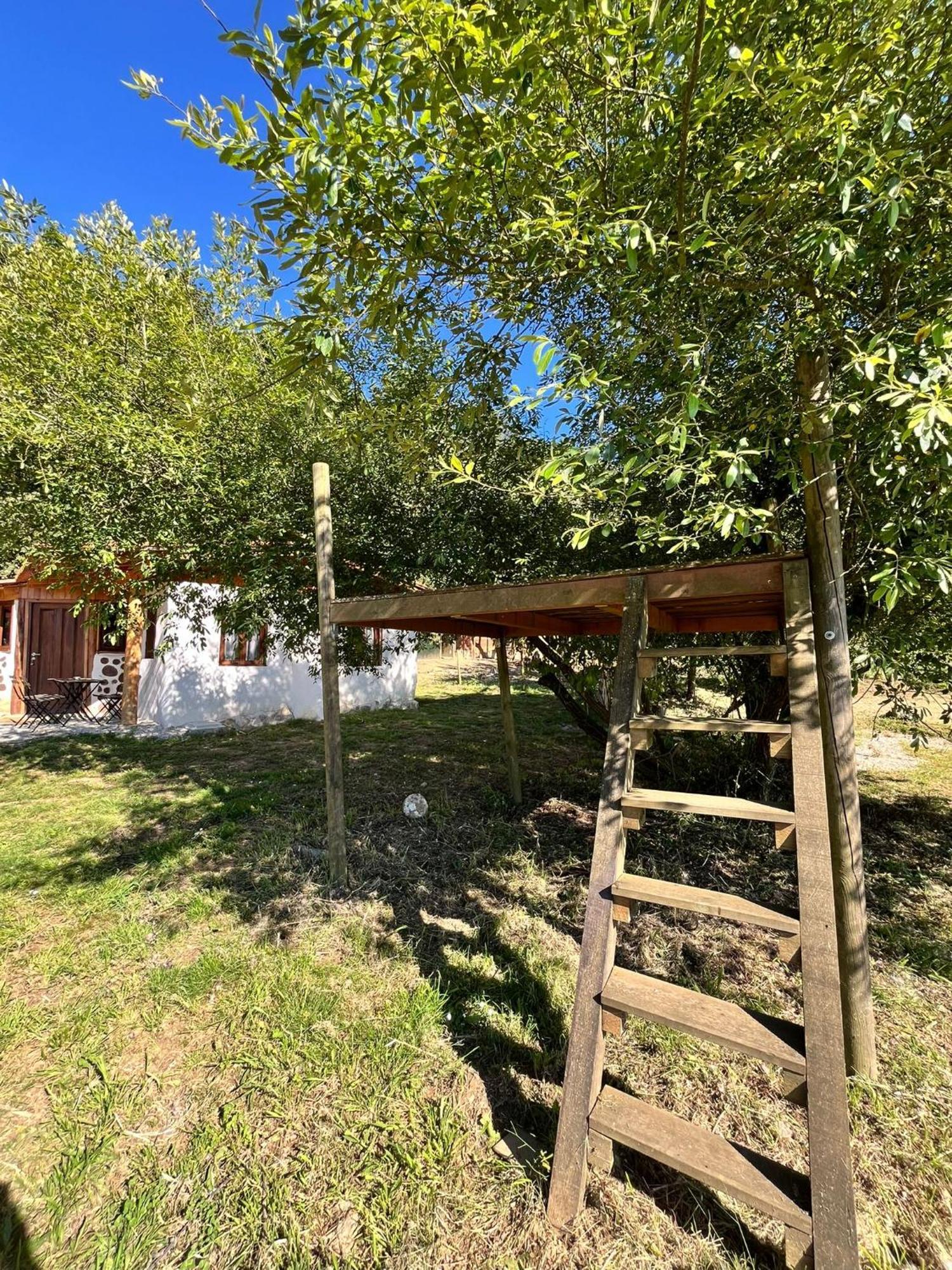 Associacao Quinta Das Relvas Branca Buitenkant foto