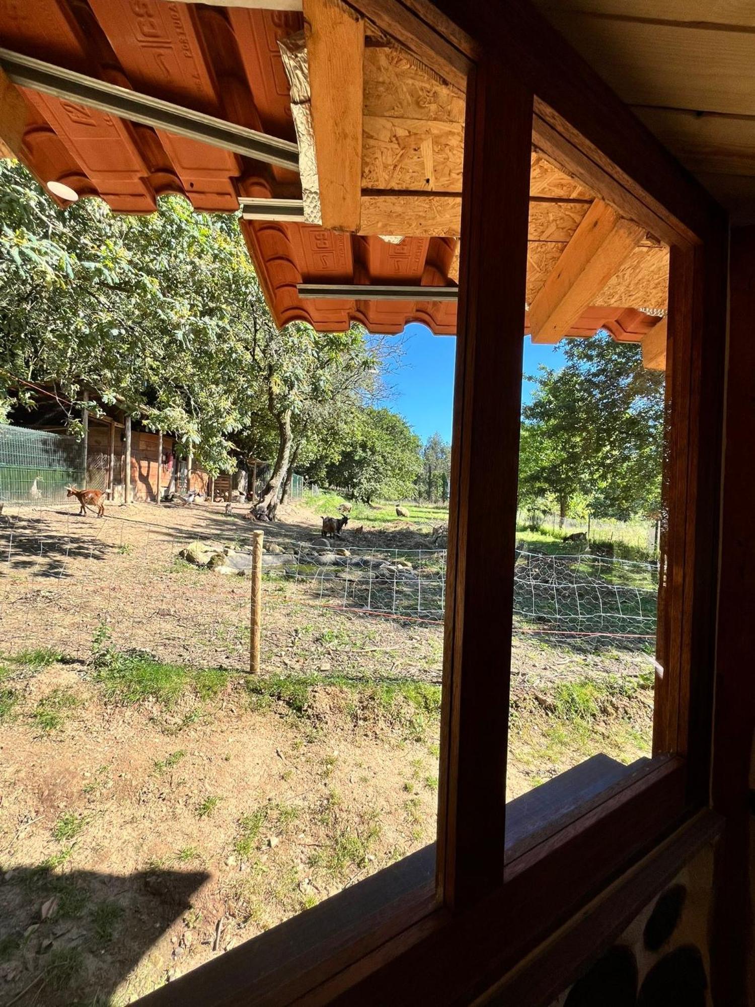 Associacao Quinta Das Relvas Branca Buitenkant foto